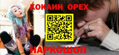 стаф Гатчина