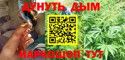стаф Гатчина