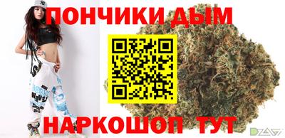 стаф Гатчина