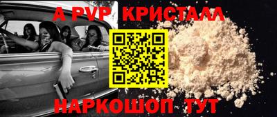 стаф Гатчина