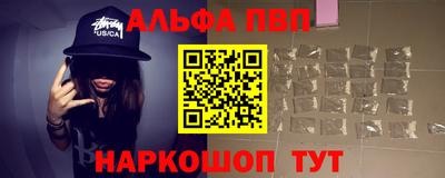 стаф Гатчина