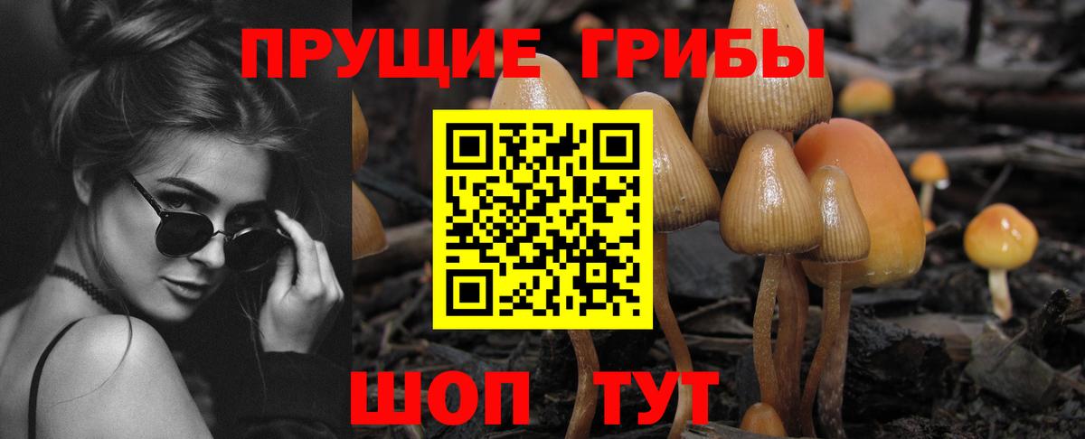 Псилоцибиновые грибы GOLDEN TEACHER  Вход с VPN  Псилоцибиновые грибы GOLDEN TEACHER  Елабуга 